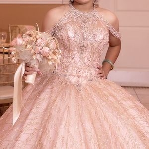 im renting out my quinceañera dress for anyone who loves it only worn once